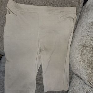 Terra & Sky Taupe Stretchy Pants